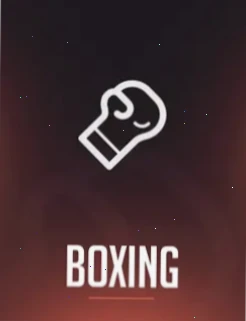 Boxing Sportwetten Live-Quoten
